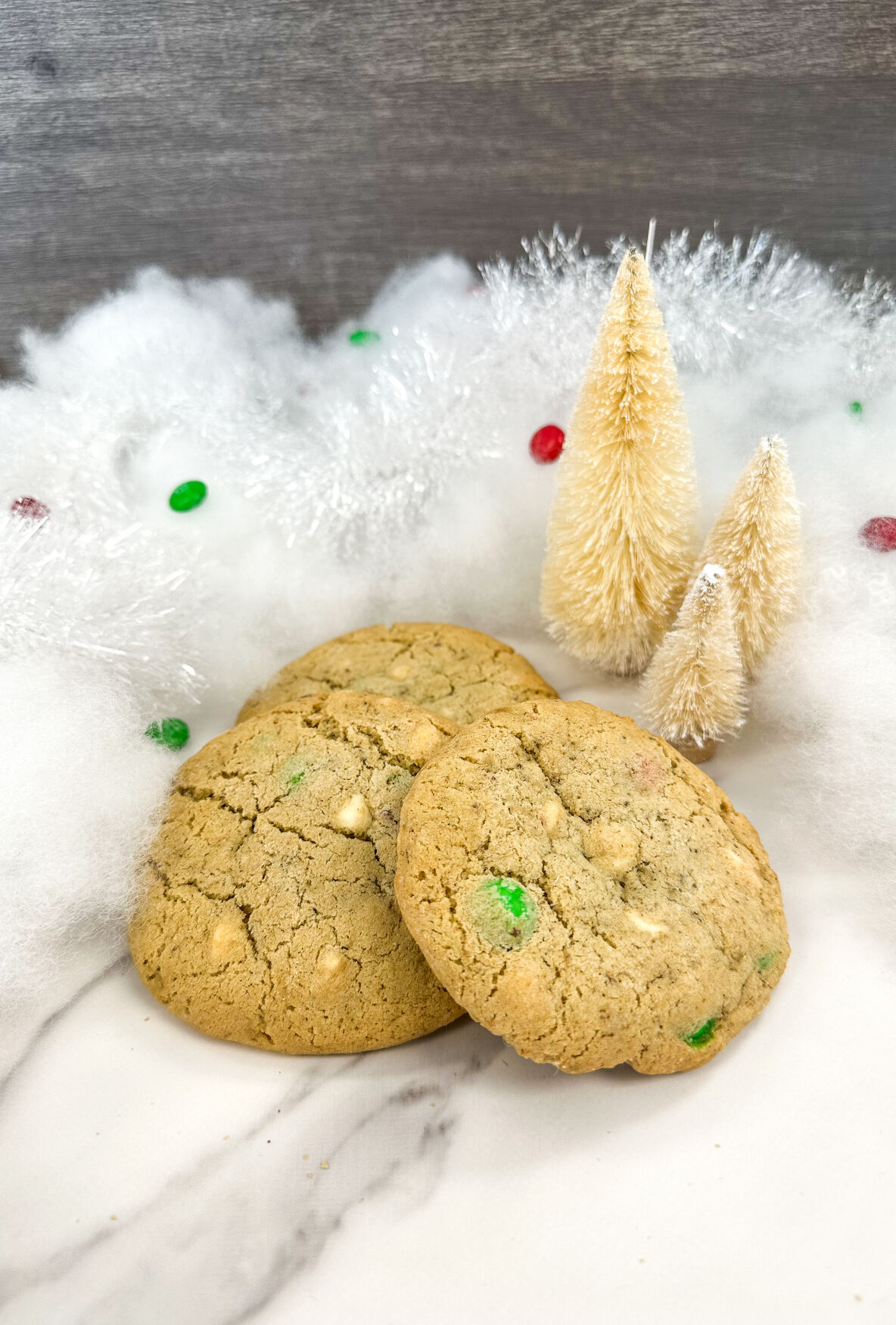 Santa's Favorite